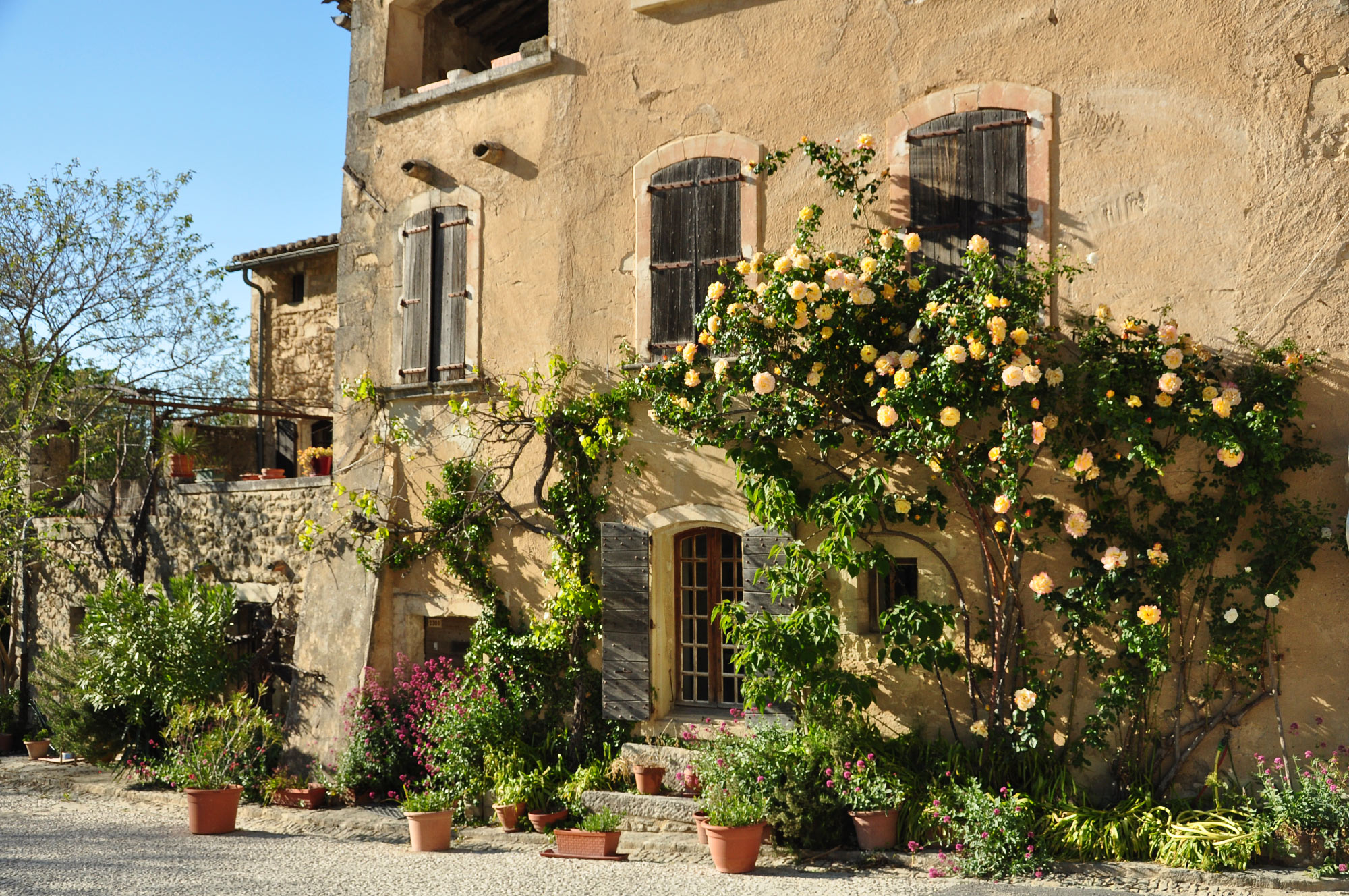 Oppède le Vieux